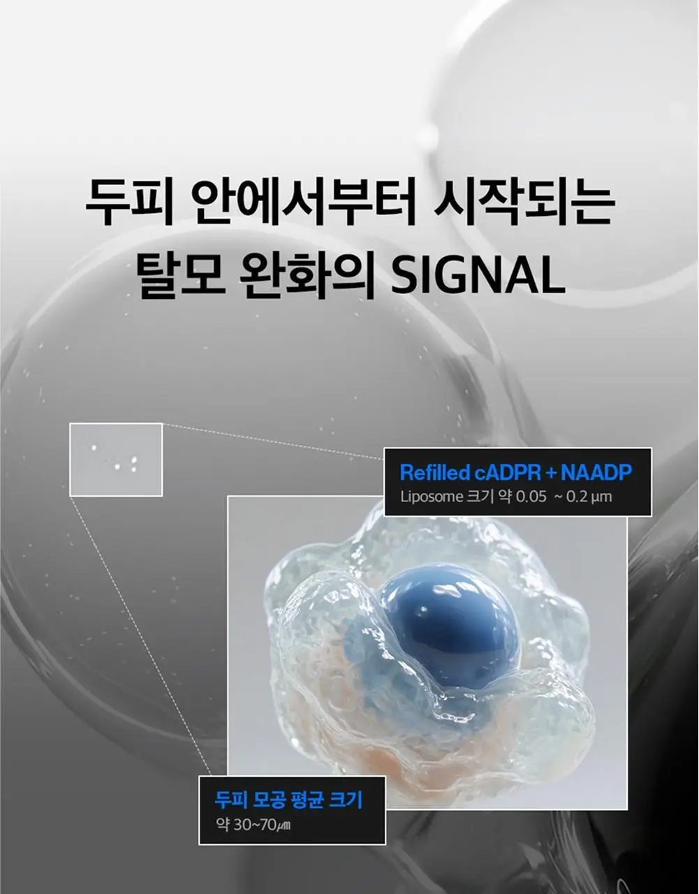 [탈모증상개선] 리필드 사이토카인 부스터 프로 70ml 단품/기획 2종 택1 상세페이지 15